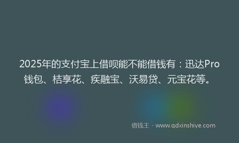 2025年的支付宝上借呗能不能借钱有：迅达Pro钱包、桔享花、疾融宝、沃易贷、元宝花等。