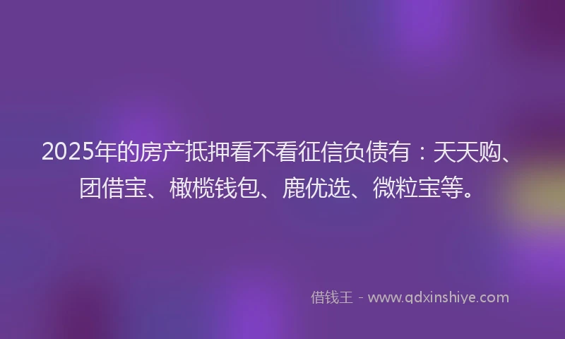 2025年的房产抵押看不看征信负债有：天天购、团借宝、橄榄钱包、鹿优选、微粒宝等。