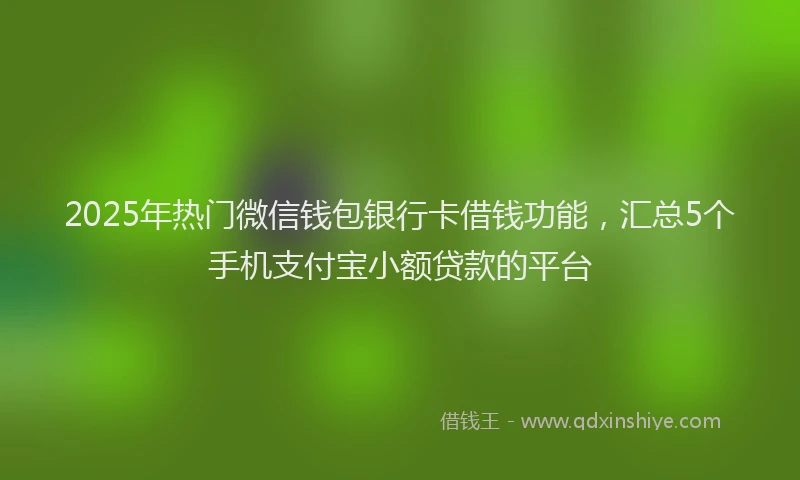 2025年热门微信钱包银行卡借钱功能，汇总5个手机支付宝小额贷款的平台