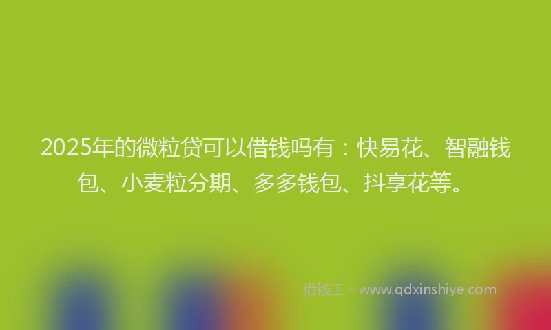 2025年的微粒贷可以借钱吗有：快易花、智融钱包、小麦粒分期、多多钱包、抖享花等。