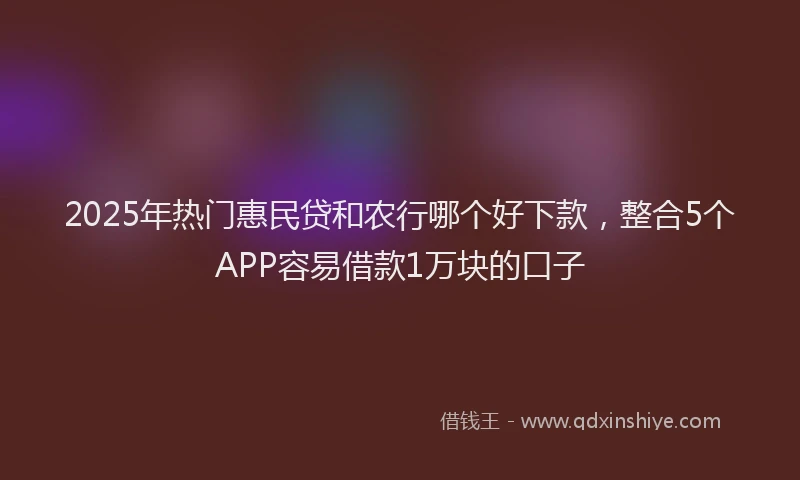 2025年热门惠民贷和农行哪个好下款，整合5个APP容易借款1万块的口子