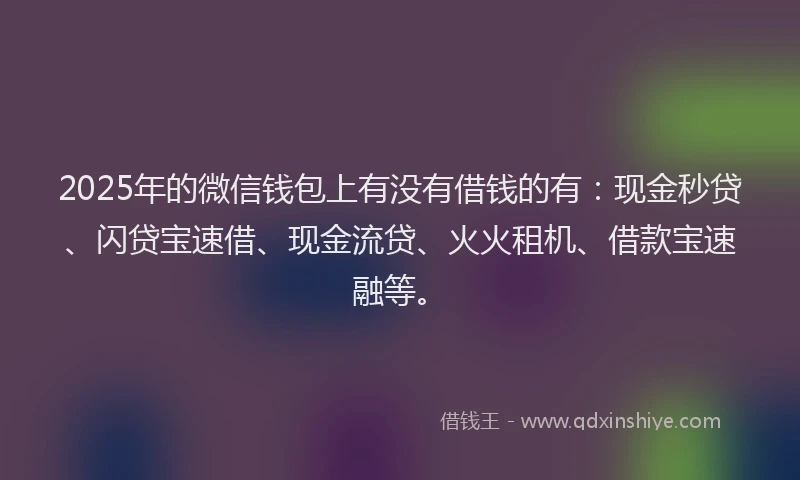 2025年的微信钱包上有没有借钱的有：现金秒贷、闪贷宝速借、现金流贷、火火租机、借款宝速融等。