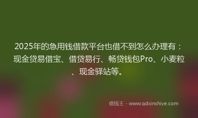2025年的急用钱借款平台也借不到怎么办理有：现金贷易借宝、借贷易行、畅贷钱包Pro、小麦粒、现金驿站等。