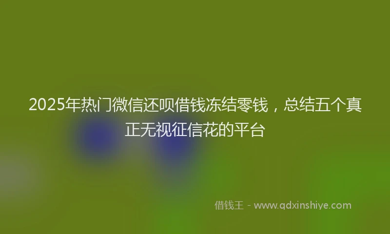 2025年热门微信还呗借钱冻结零钱，总结五个真正无视征信花的平台
