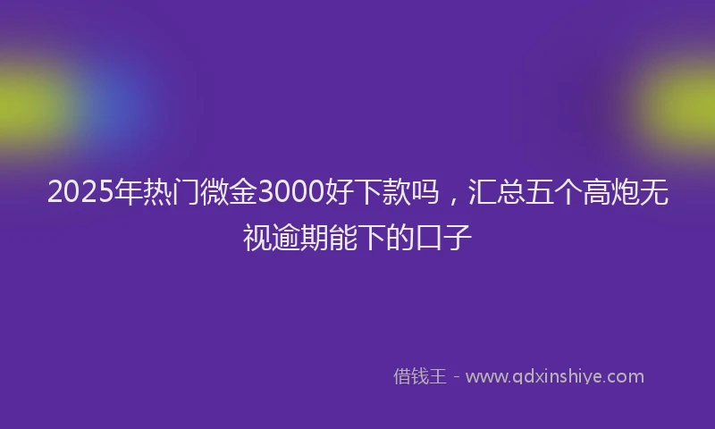 2025年热门微金3000好下款吗，汇总五个高炮无视逾期能下的口子