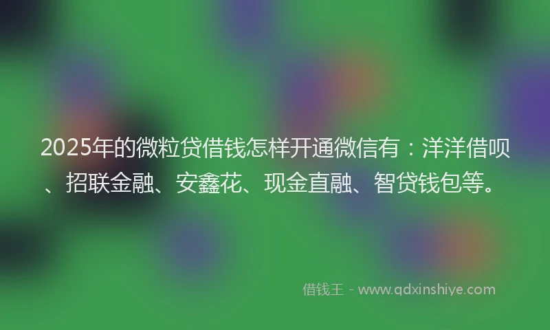 2025年的微粒贷借钱怎样开通微信有：洋洋借呗、招联金融、安鑫花、现金直融、智贷钱包等。