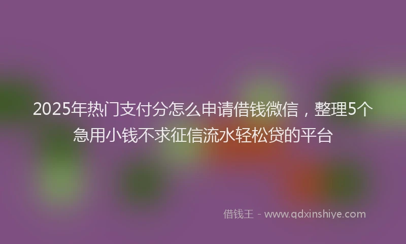 2025年热门支付分怎么申请借钱微信，整理5个急用小钱不求征信流水轻松贷的平台