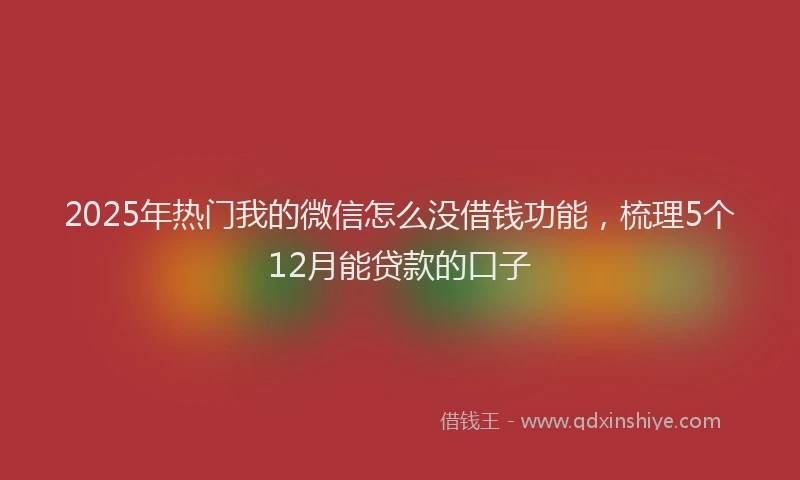 2025年热门我的微信怎么没借钱功能，梳理5个12月能贷款的口子