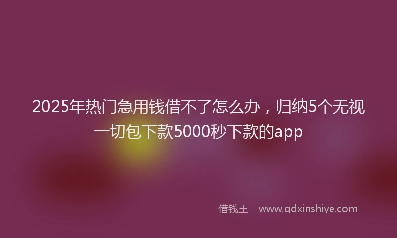 2025年热门急用钱借不了怎么办，归纳5个无视一切包下款5000秒下款的app