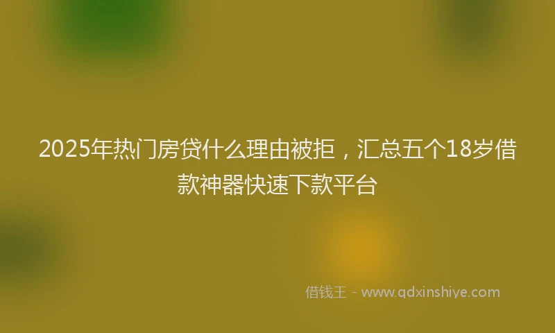 2025年热门房贷什么理由被拒，汇总五个18岁借款神器快速下款平台