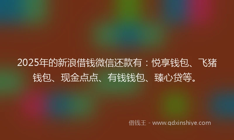 2025年的新浪借钱微信还款有：悦享钱包、飞猪钱包、现金点点、有钱钱包、臻心贷等。