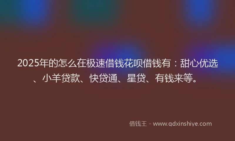 2025年的怎么在极速借钱花呗借钱有：甜心优选、小羊贷款、快贷通、星贷、有钱来等。