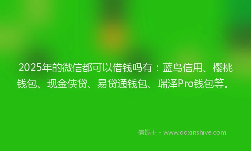 2025年的微信都可以借钱吗有：蓝鸟信用、樱桃钱包、现金侠贷、易贷通钱包、瑞泽Pro钱包等。
