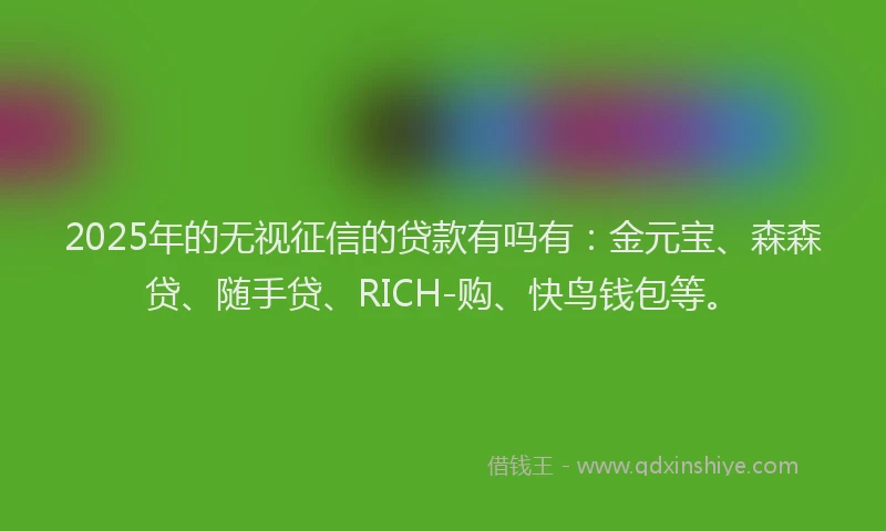 2025年的无视征信的贷款有吗有：金元宝、森森贷、随手贷、RICH-购、快鸟钱包等。