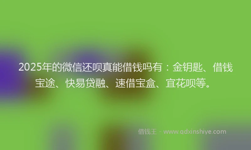 2025年的微信还呗真能借钱吗有：金钥匙、借钱宝途、快易贷融、速借宝盒、宜花呗等。