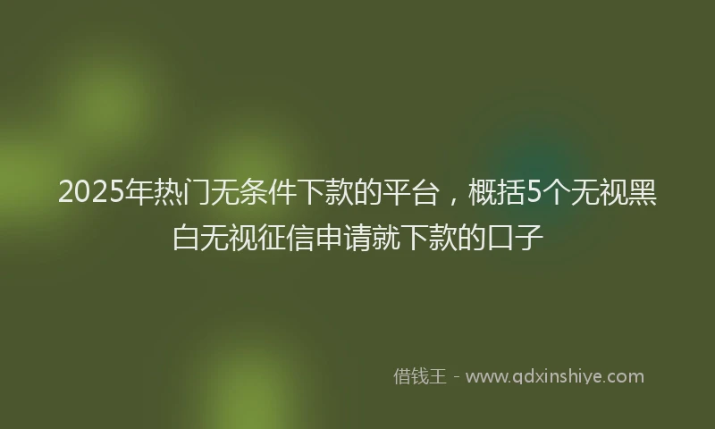 2025年热门无条件下款的平台，概括5个无视黑白无视征信申请就下款的口子