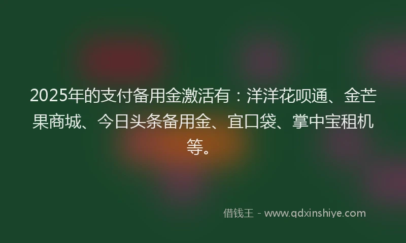 2025年的支付备用金激活有：洋洋花呗通、金芒果商城、今日头条备用金、宜口袋、掌中宝租机等。