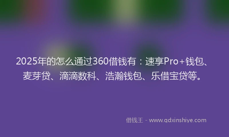 2025年的怎么通过360借钱有：速享Pro+钱包、麦芽贷、滴滴数科、浩瀚钱包、乐借宝贷等。