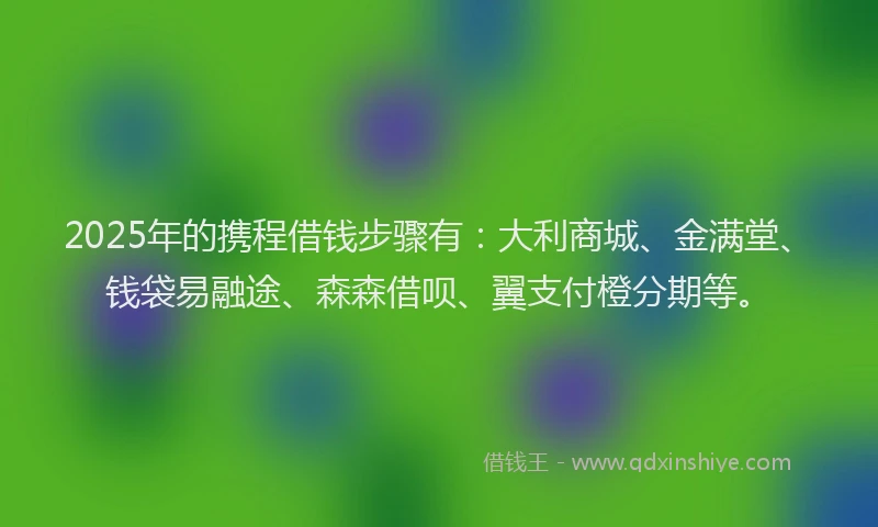 2025年的携程借钱步骤有：大利商城、金满堂、钱袋易融途、森森借呗、翼支付橙分期等。