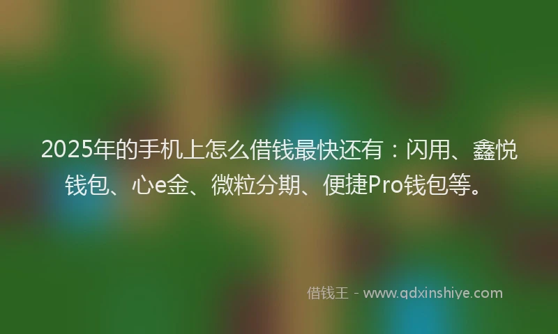 2025年的手机上怎么借钱最快还有：闪用、鑫悦钱包、心e金、微粒分期、便捷Pro钱包等。