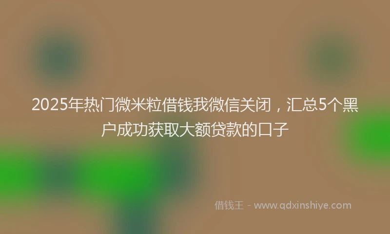 2025年热门微米粒借钱我微信关闭，汇总5个黑户成功获取大额贷款的口子