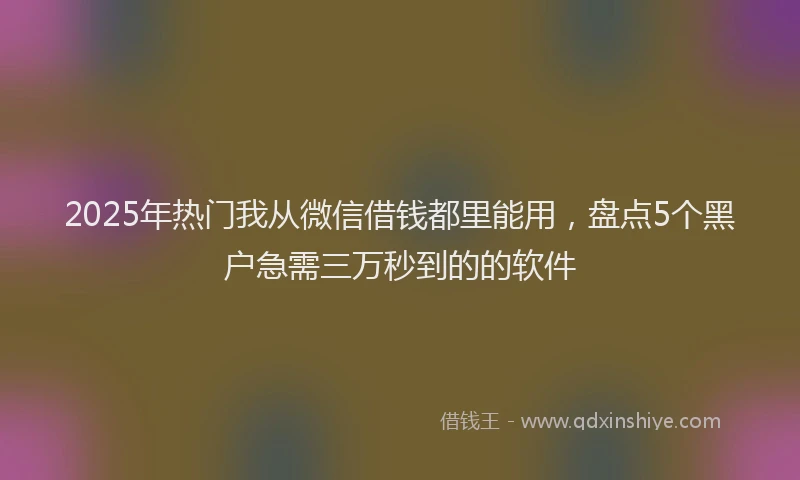 2025年热门我从微信借钱都里能用，盘点5个黑户急需三万秒到的的软件