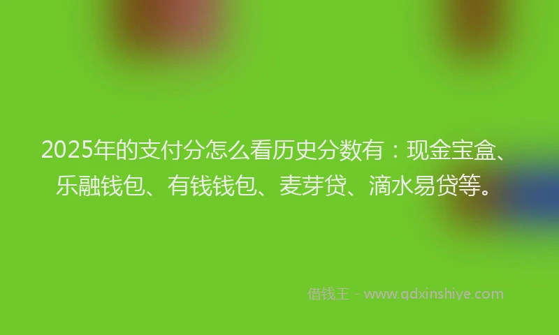 2025年的支付分怎么看历史分数有：现金宝盒、乐融钱包、有钱钱包、麦芽贷、滴水易贷等。