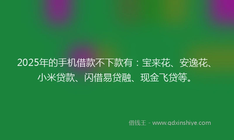 2025年的手机借款不下款有：宝来花、安逸花、小米贷款、闪借易贷融、现金飞贷等。