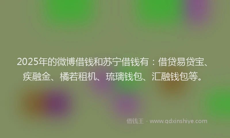 2025年的微博借钱和苏宁借钱有：借贷易贷宝、疾融金、橘若租机、琉璃钱包、汇融钱包等。