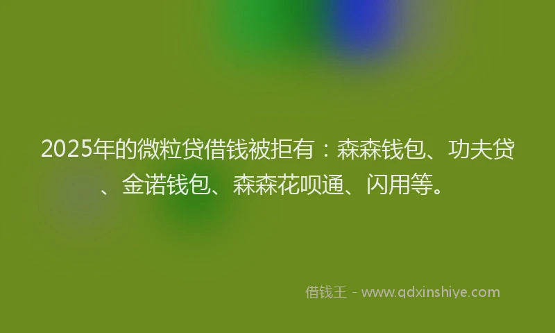 2025年的微粒贷借钱被拒有：森森钱包、功夫贷、金诺钱包、森森花呗通、闪用等。