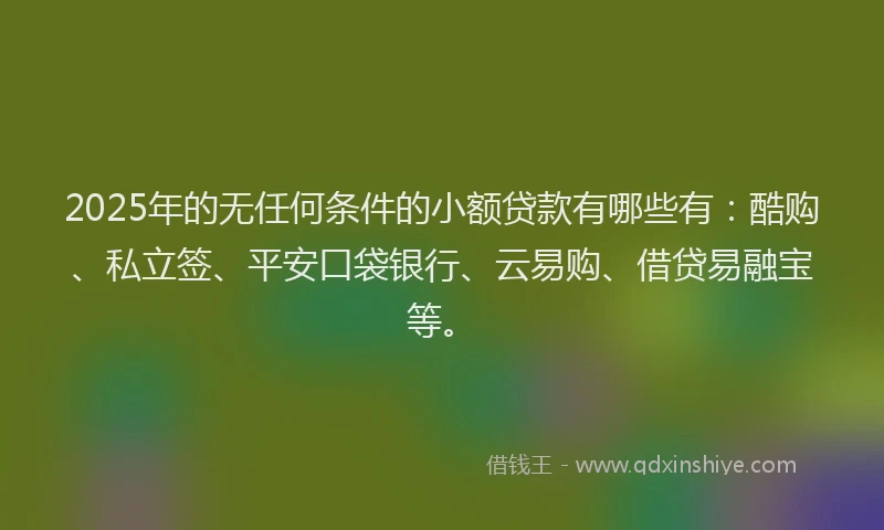2025年的无任何条件的小额贷款有哪些有：酷购、私立签、平安口袋银行、云易购、借贷易融宝等。