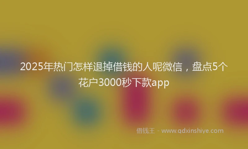 2025年热门怎样退掉借钱的人呢微信，盘点5个花户3000秒下款app