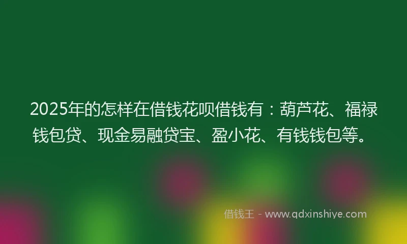 2025年的怎样在借钱花呗借钱有：葫芦花、福禄钱包贷、现金易融贷宝、盈小花、有钱钱包等。