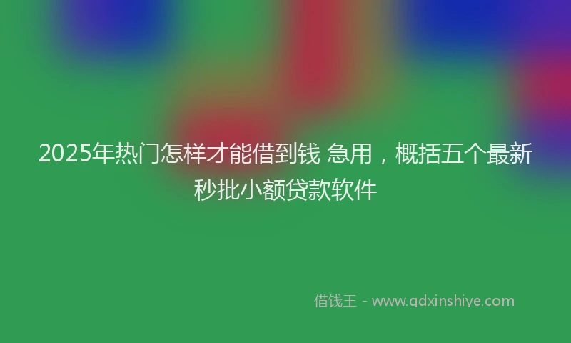 2025年热门怎样才能借到钱 急用，概括五个最新秒批小额贷款软件