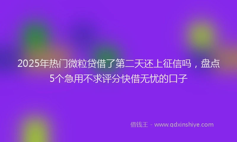 2025年热门微粒贷借了第二天还上征信吗，盘点5个急用不求评分快借无忧的口子