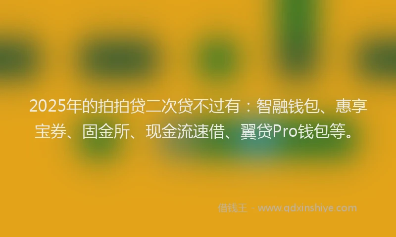 2025年的拍拍贷二次贷不过有：智融钱包、惠享宝券、固金所、现金流速借、翼贷Pro钱包等。