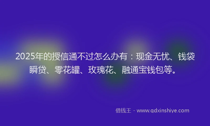 2025年的授信通不过怎么办有：现金无忧、钱袋瞬贷、零花罐、玫瑰花、融通宝钱包等。