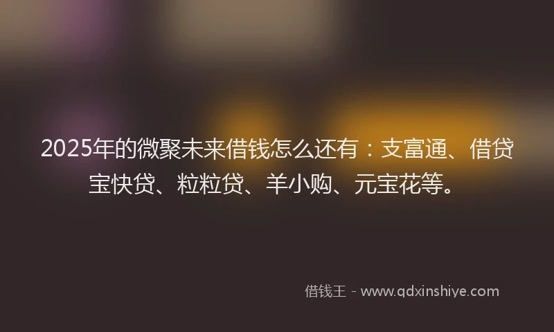 2025年的微聚未来借钱怎么还有：支富通、借贷宝快贷、粒粒贷、羊小购、元宝花等。