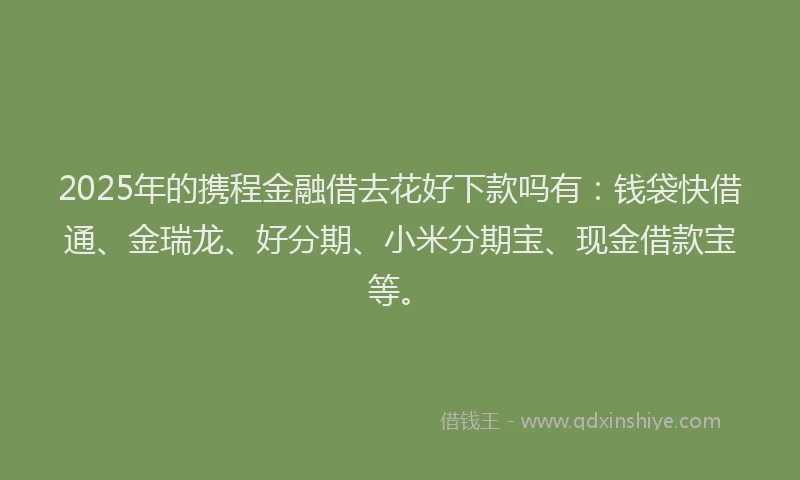 2025年的携程金融借去花好下款吗有：钱袋快借通、金瑞龙、好分期、小米分期宝、现金借款宝等。