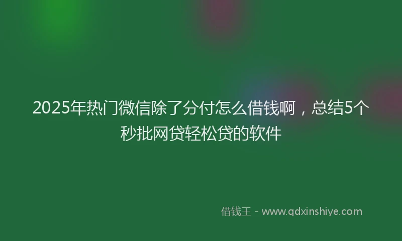 2025年热门微信除了分付怎么借钱啊，总结5个秒批网贷轻松贷的软件