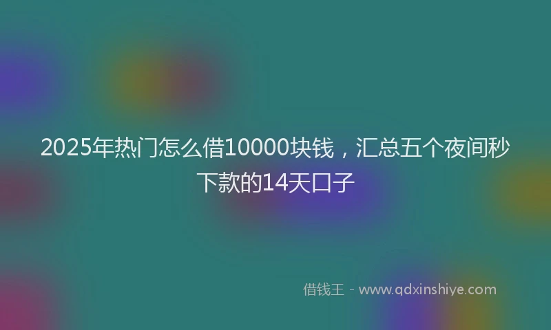 2025年热门怎么借10000块钱，汇总五个夜间秒下款的14天口子