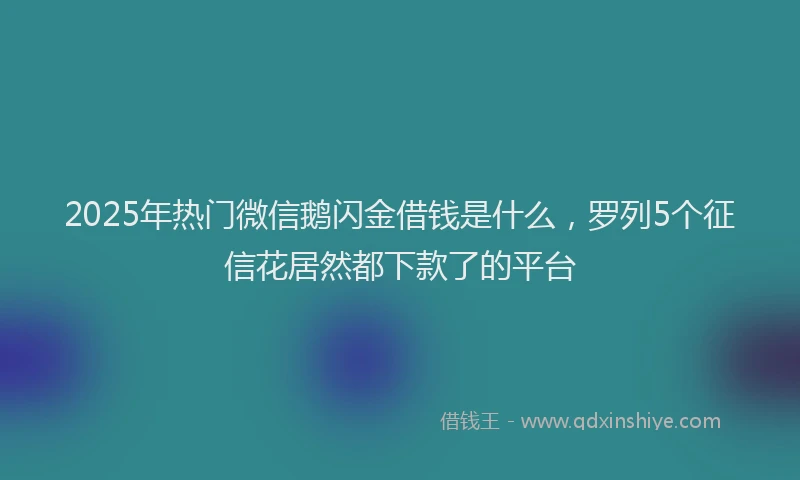 2025年热门微信鹅闪金借钱是什么，罗列5个征信花居然都下款了的平台