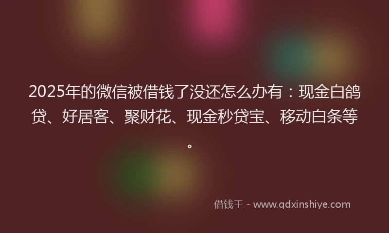 2025年的微信被借钱了没还怎么办有：现金白鸽贷、好居客、聚财花、现金秒贷宝、移动白条等。