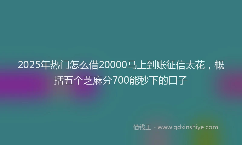 2025年热门怎么借20000马上到账征信太花，概括五个芝麻分700能秒下的口子