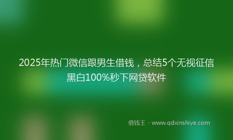 2025年热门微信跟男生借钱，总结5个无视征信黑白100%秒下网贷软件