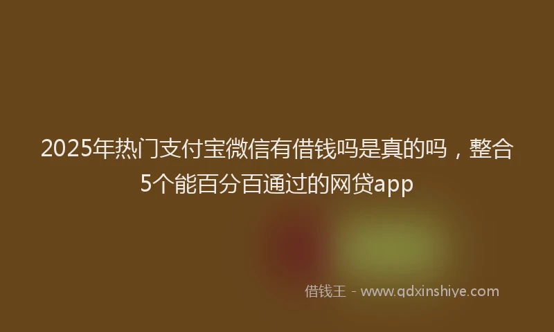 2025年热门支付宝微信有借钱吗是真的吗，整合5个能百分百通过的网贷app