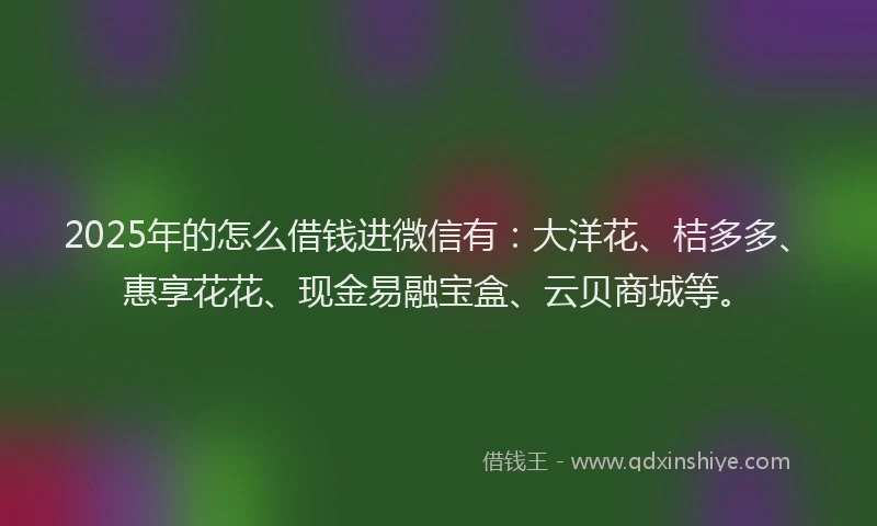 2025年的怎么借钱进微信有：大洋花、桔多多、惠享花花、现金易融宝盒、云贝商城等。