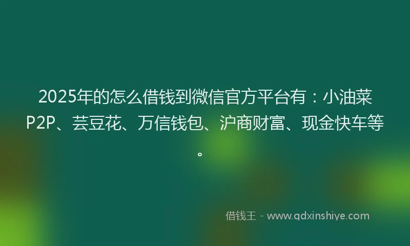 2025年的怎么借钱到微信官方平台有：小油菜P2P、芸豆花、万信钱包、沪商财富、现金快车等。