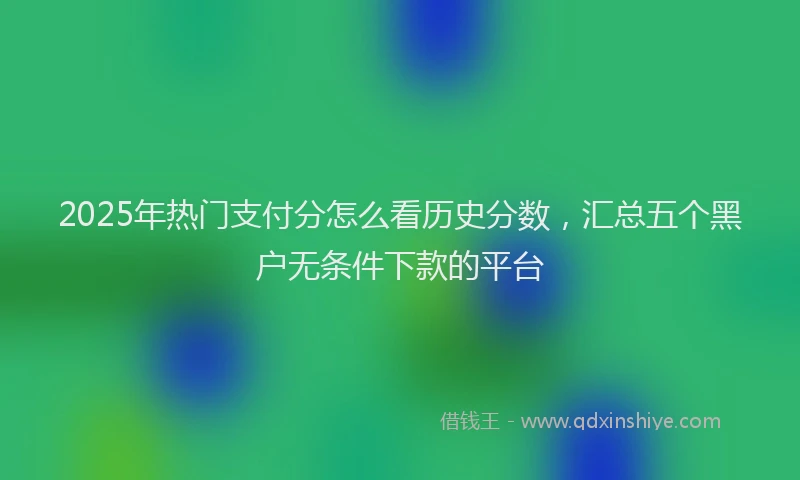 2025年热门支付分怎么看历史分数，汇总五个黑户无条件下款的平台