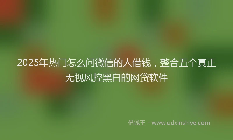 2025年热门怎么问微信的人借钱，整合五个真正无视风控黑白的网贷软件